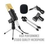 BM-100FX USB Powered Condenser Studio Recording Microphone