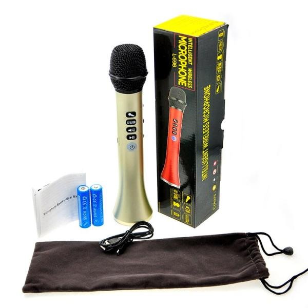 Karaoke L-698 Best Bluetooth Microphone and Portable Speaker Combo