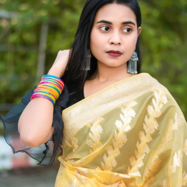 Premium Moslin Organza Saree