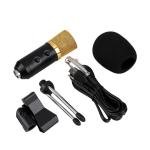 BM-100FX USB Condenser Mic with Noise Cancel & Echo Effect